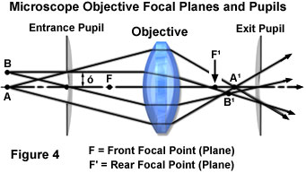 奧林巴斯顯微鏡 properties figure4