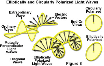 奧林巴斯顯微鏡 polarized light figure8