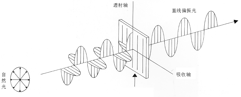 直線(xiàn)偏振光