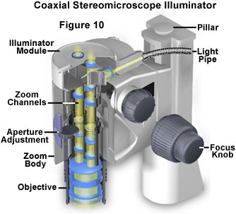 奧林巴斯顯微鏡 stereoreflected figure10