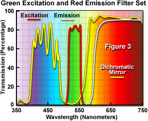 奧林巴斯顯微鏡 fluoromicro figure3