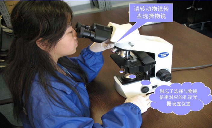 選擇高倍物鏡進(jìn)行觀察