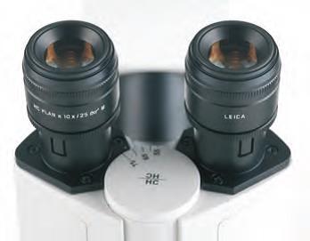 DMi8創(chuàng)建您自己的.jpg