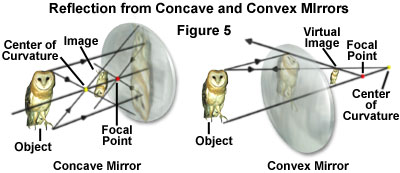 奧林巴斯顯微鏡 reflectionsfigure5