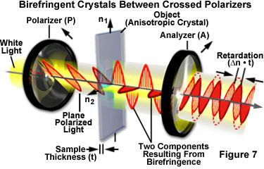 奧林巴斯顯微鏡 birefringencefigure7
