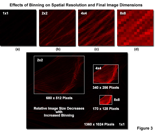 奧林巴斯顯微鏡 imagingsystemsfigure3