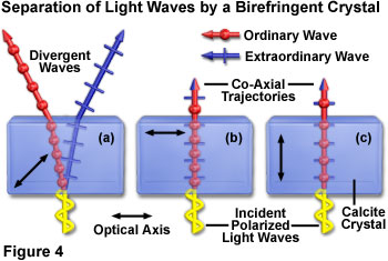 奧林巴斯顯微鏡 birefringencefigure4