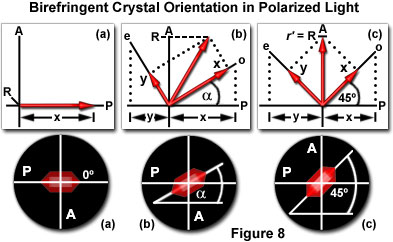 奧林巴斯顯微鏡 birefringencefigure8