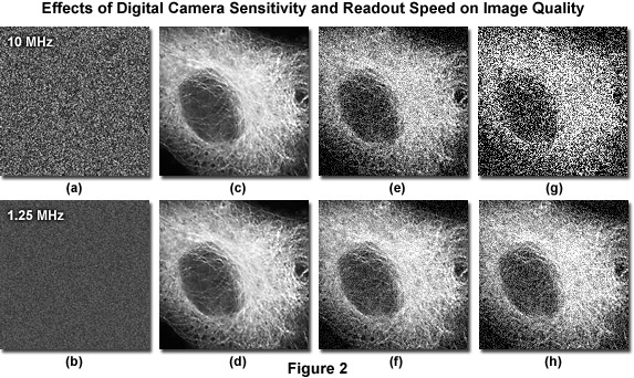 奧林巴斯顯微鏡 imagingsystemsfigure2
