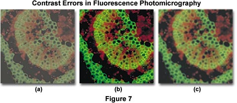 奧林巴斯顯微鏡 contrast errors