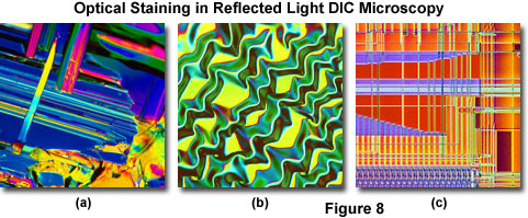 奧林巴斯顯微鏡 reflecteddicfigure8