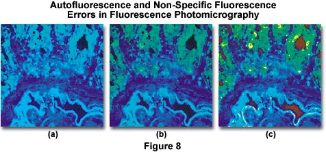 奧林巴斯顯微鏡 auto fluorescence