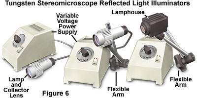 奧林巴斯顯微鏡 stereoreflected figure6