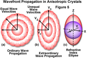 奧林巴斯顯微鏡 birefringencefigure5