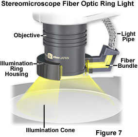 奧林巴斯顯微鏡 stereoreflected figure7