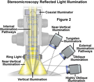 奧林巴斯顯微鏡 stereoreflected figure2