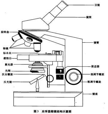 奧林巴斯顯微鏡 光學(xué)顯微鏡結(jié)構(gòu)圖