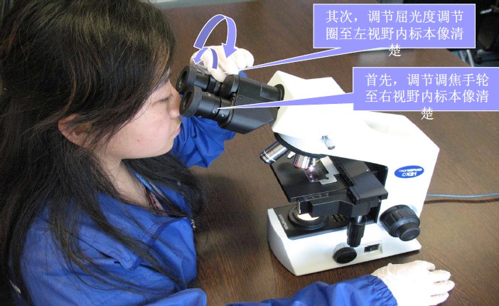 調(diào)節(jié)屈光度至左右視野標(biāo)本像同時(shí)清楚.jpg