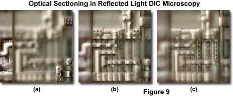 奧林巴斯顯微鏡 reflecteddicfigure9